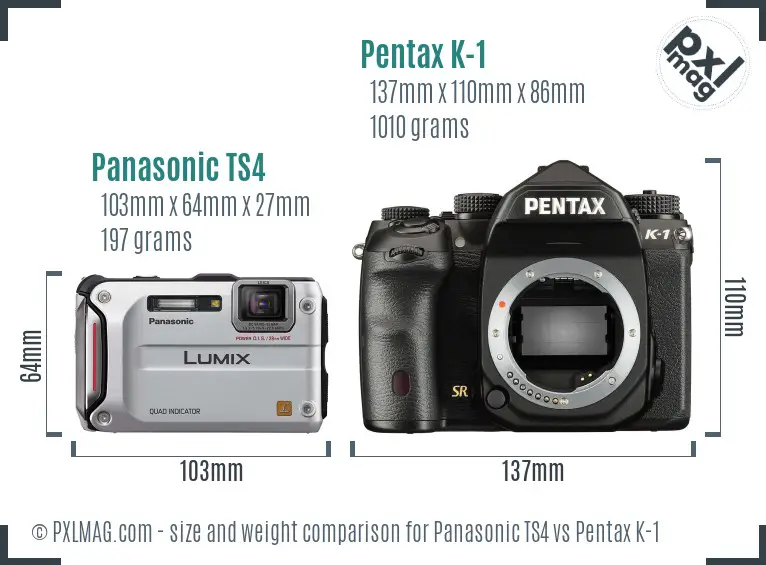 Panasonic TS4 vs Pentax K-1 size comparison