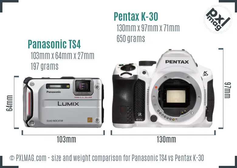 Panasonic TS4 vs Pentax K-30 size comparison