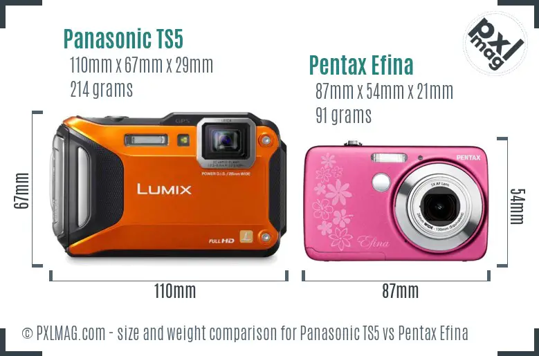 Panasonic TS5 vs Pentax Efina size comparison
