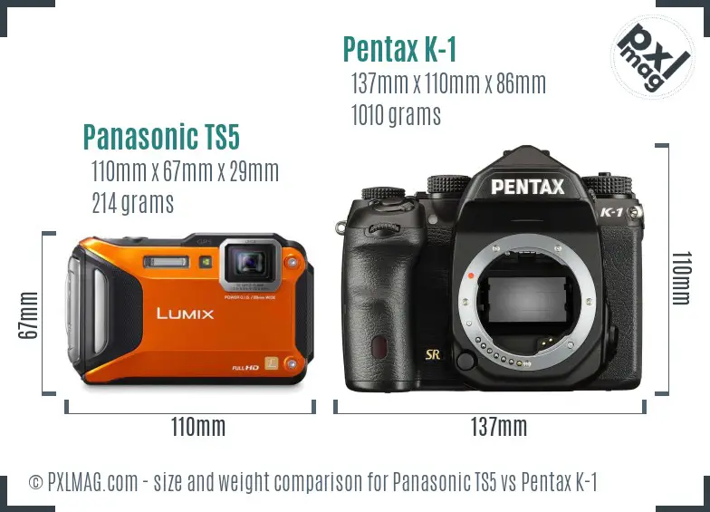 Panasonic TS5 vs Pentax K-1 size comparison