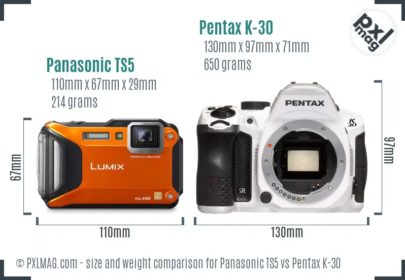 Panasonic TS5 vs Pentax K-30 size comparison