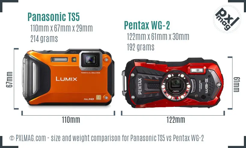 Panasonic TS5 vs Pentax WG-2 size comparison