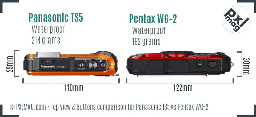 Panasonic TS5 vs Pentax WG-2 top view buttons comparison