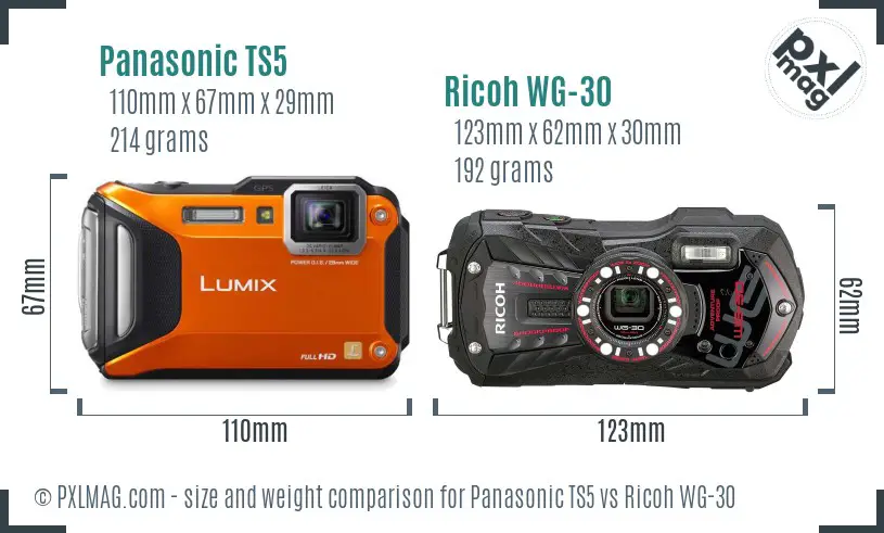 Panasonic TS5 vs Ricoh WG-30 size comparison