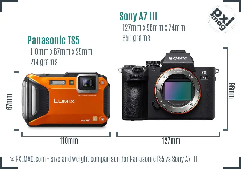 Panasonic TS5 vs Sony A7 III size comparison