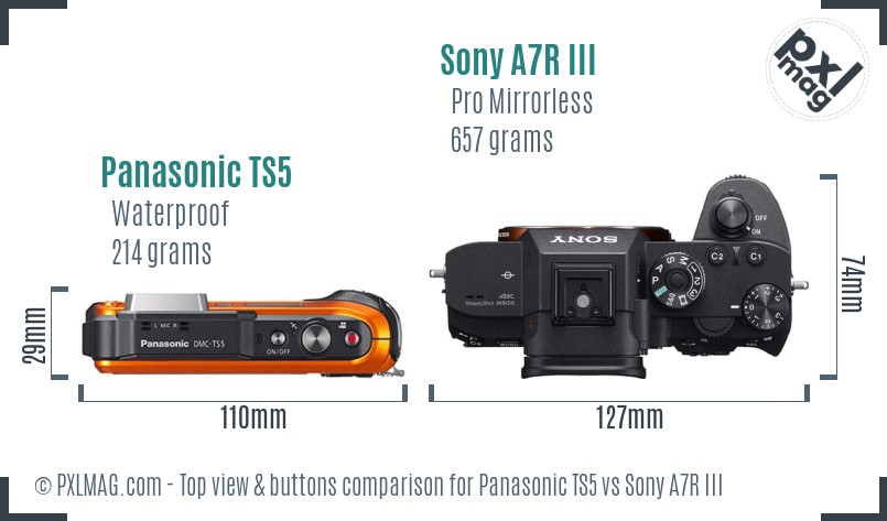 Panasonic TS5 vs Sony A7R III top view buttons comparison
