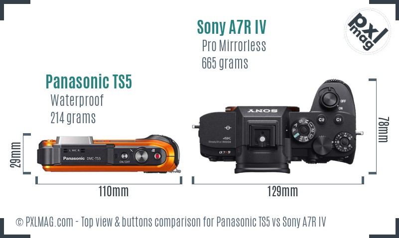 Panasonic TS5 vs Sony A7R IV top view buttons comparison