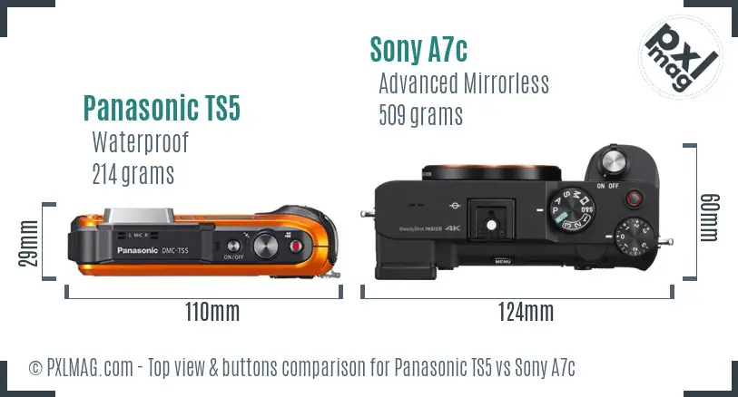 Panasonic TS5 vs Sony A7c top view buttons comparison