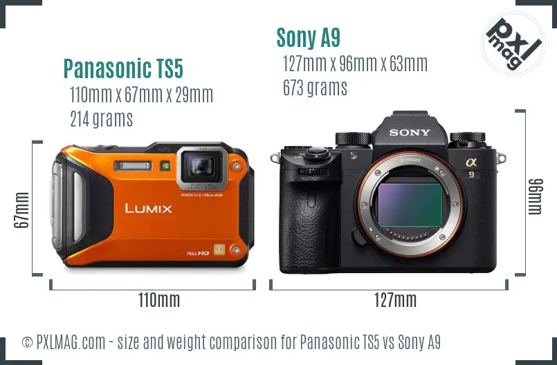 Panasonic TS5 vs Sony A9 size comparison Panasonic TS5 vs Sony A9 size comparison