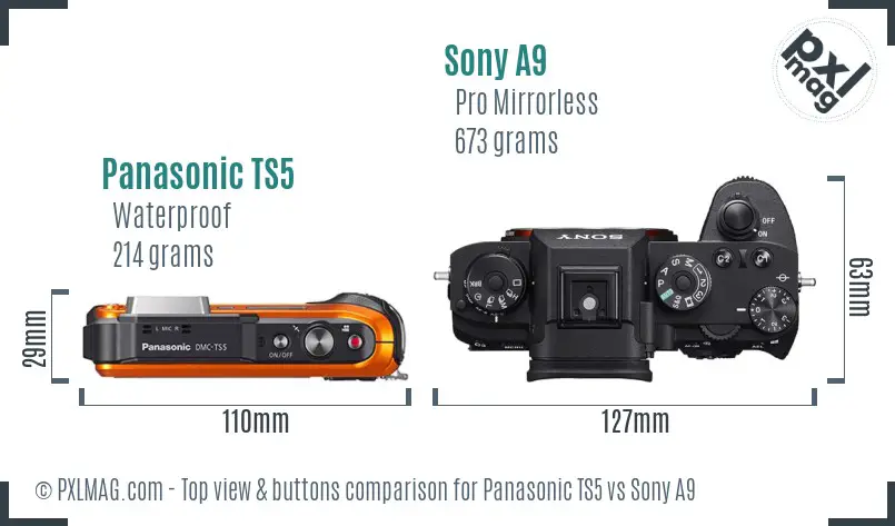 Panasonic TS5 vs Sony A9 top view buttons comparison Panasonic TS5 vs Sony A9 top view buttons comparison