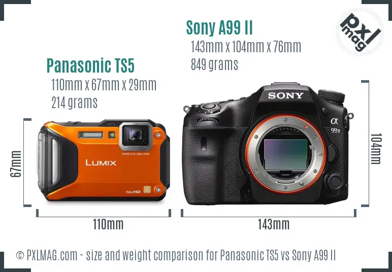 Panasonic TS5 vs Sony A99 II size comparison Panasonic TS5 vs Sony A99 II size comparison