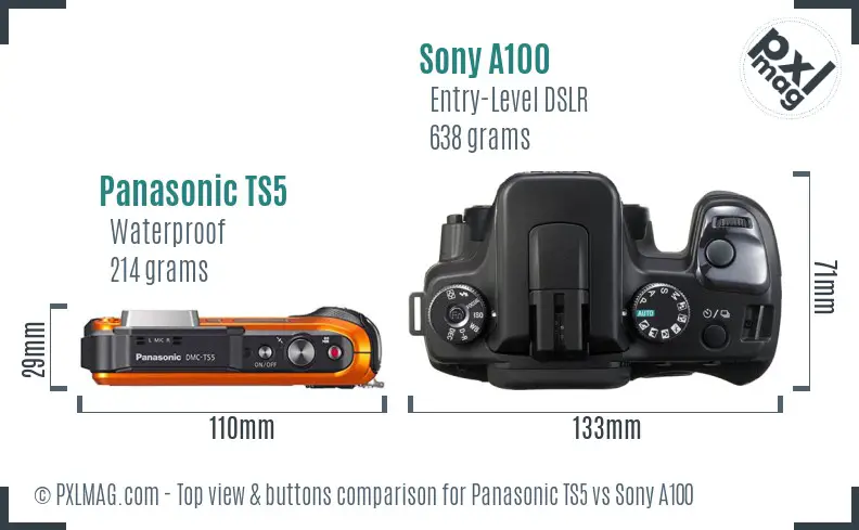 Panasonic TS5 vs Sony A100 top view buttons comparison Panasonic TS5 vs Sony A100 top view buttons comparison