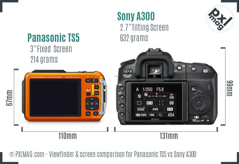 Panasonic TS5 vs Sony A300 Screen and Viewfinder comparison