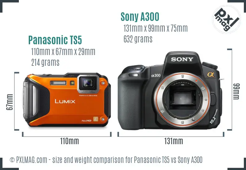 Panasonic TS5 vs Sony A300 size comparison