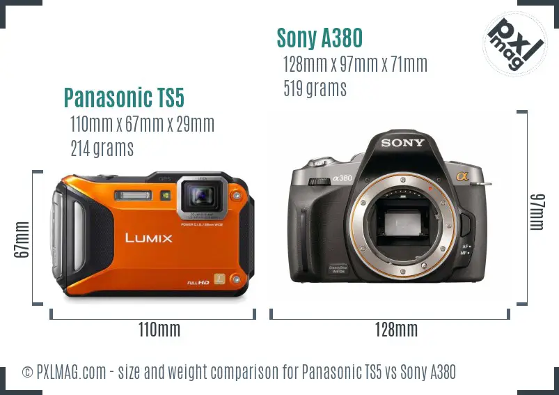 Panasonic TS5 vs Sony A380 size comparison