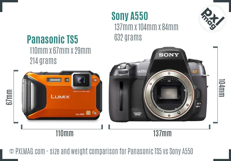 Panasonic TS5 vs Sony A550 size comparison