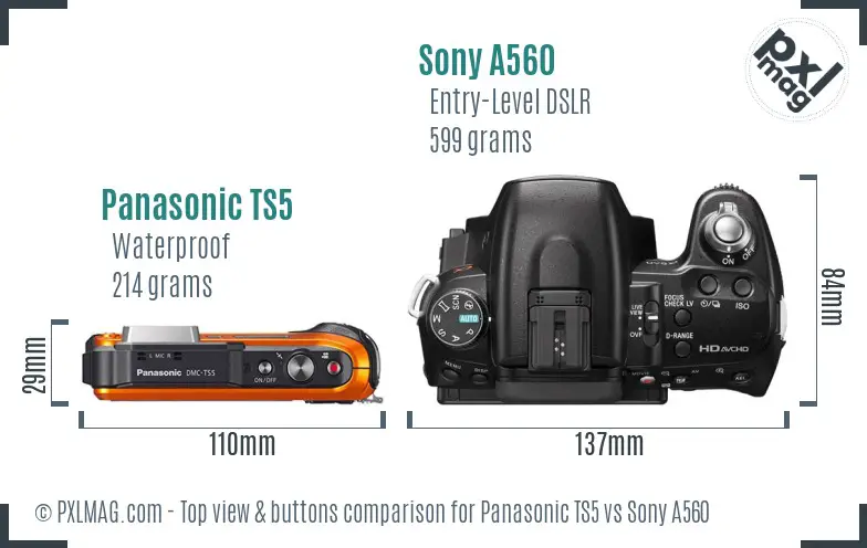 Panasonic TS5 vs Sony A560 top view buttons comparison