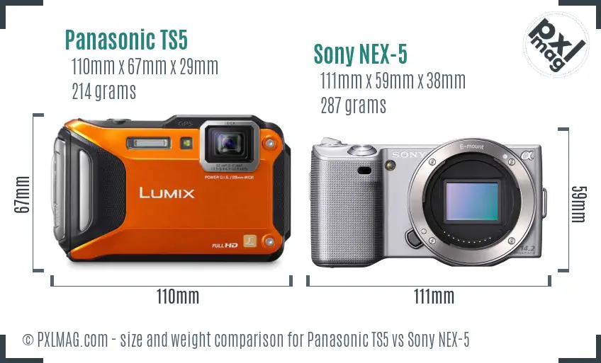 Panasonic TS5 vs Sony NEX-5 size comparison