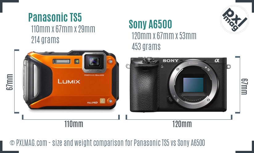 Panasonic TS5 vs Sony A6500 size comparison