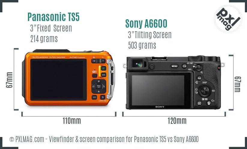 Panasonic TS5 vs Sony A6600 Screen and Viewfinder comparison