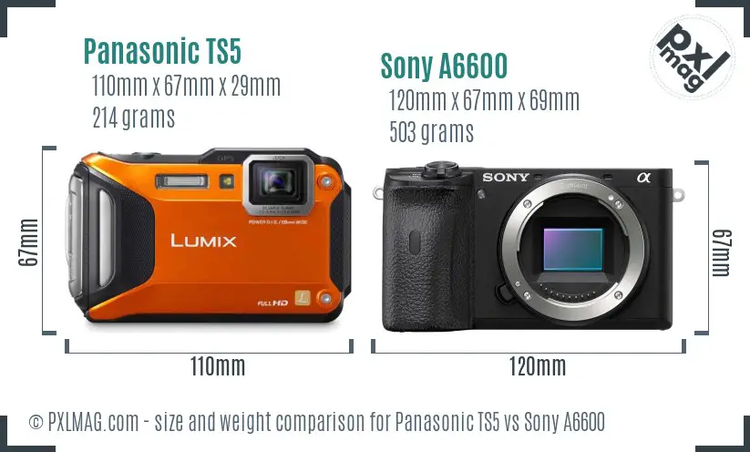 Panasonic TS5 vs Sony A6600 size comparison