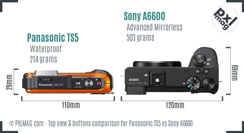 Panasonic TS5 vs Sony A6600 top view buttons comparison