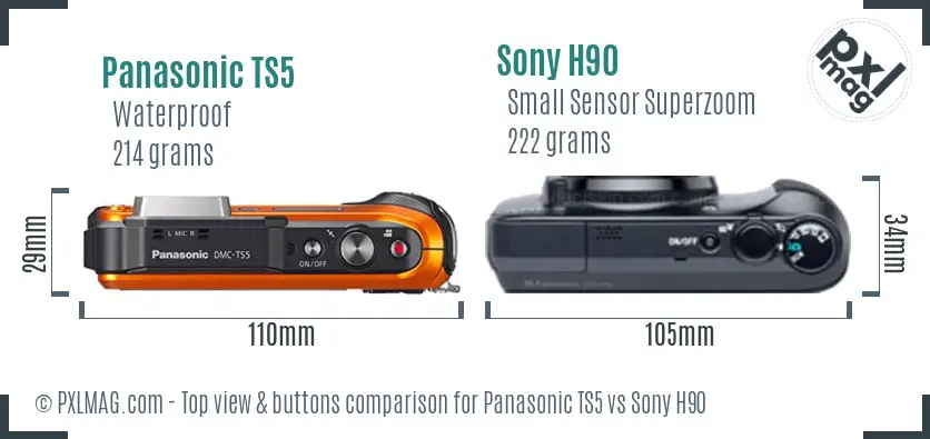 Panasonic TS5 vs Sony H90 top view buttons comparison