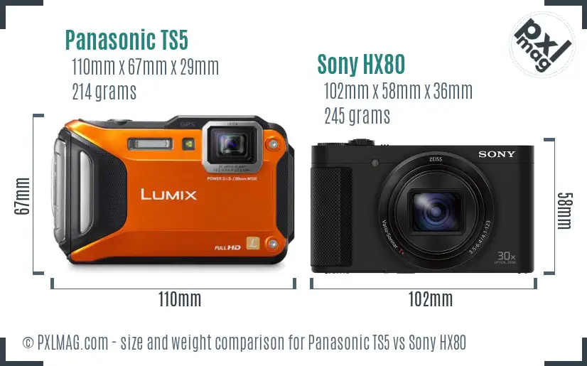 Panasonic TS5 vs Sony HX80 size comparison