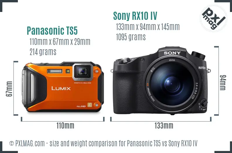 Panasonic TS5 vs Sony RX10 IV size comparison