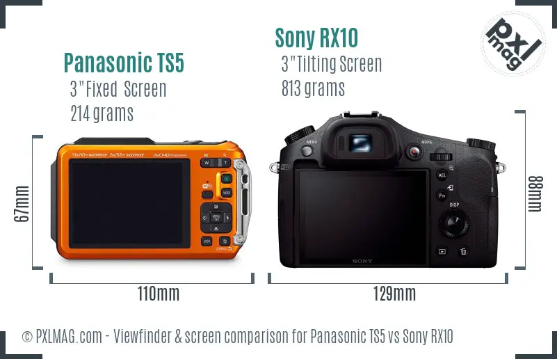 Panasonic TS5 vs Sony RX10 Screen and Viewfinder comparison