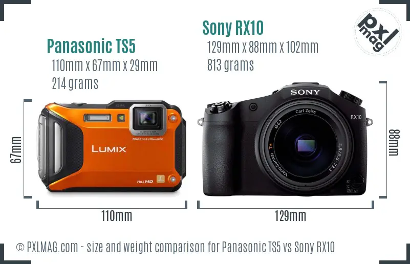 Panasonic TS5 vs Sony RX10 size comparison