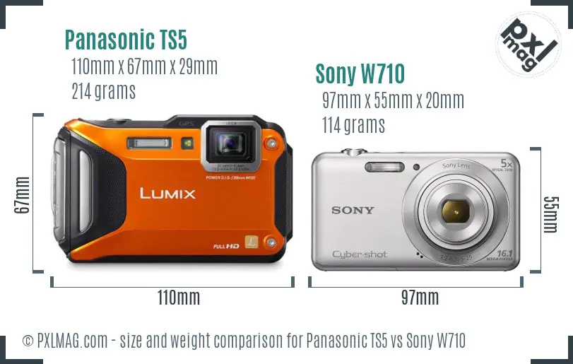 Panasonic TS5 vs Sony W710 size comparison