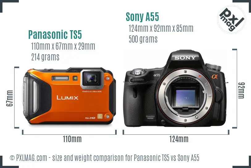 Panasonic TS5 vs Sony A55 size comparison Panasonic TS5 vs Sony A55 size comparison
