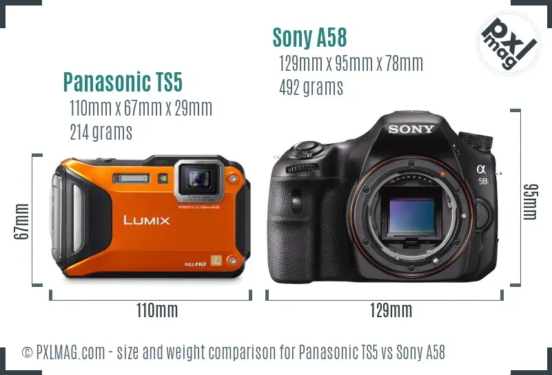 Panasonic TS5 vs Sony A58 size comparison