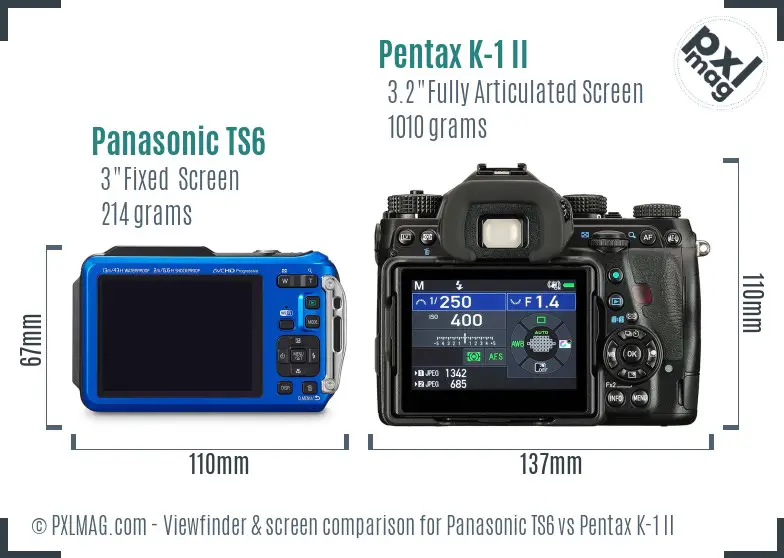 Panasonic TS6 vs Pentax K-1 II Screen and Viewfinder comparison