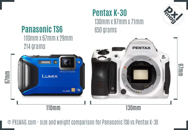 Panasonic TS6 vs Pentax K-30 size comparison