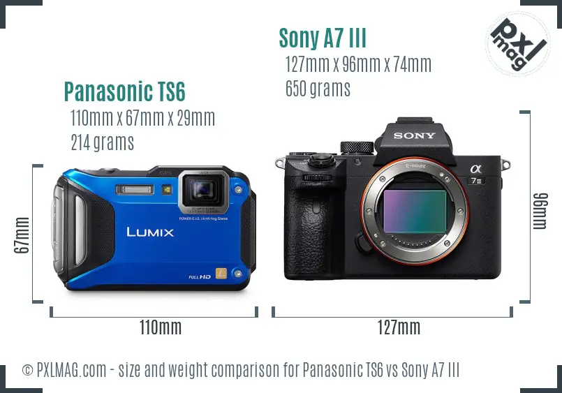 Panasonic TS6 vs Sony A7 III size comparison