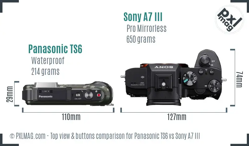 Panasonic TS6 vs Sony A7 III top view buttons comparison