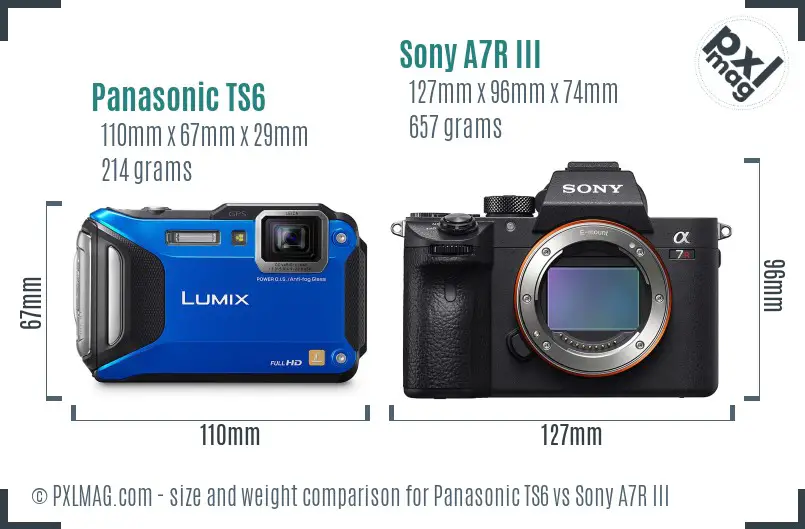 Panasonic TS6 vs Sony A7R III size comparison