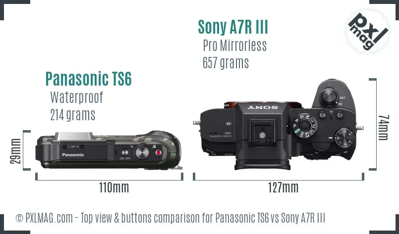 Panasonic TS6 vs Sony A7R III top view buttons comparison
