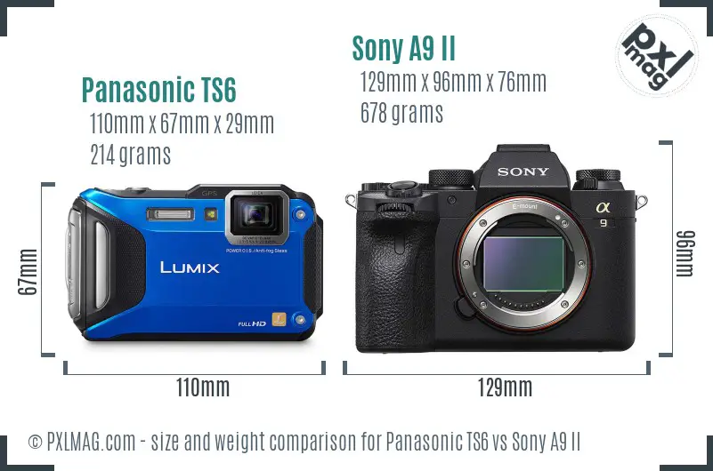 Panasonic TS6 vs Sony A9 II size comparison