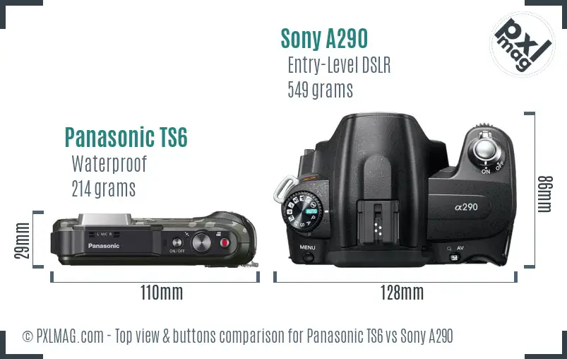 Panasonic TS6 vs Sony A290 top view buttons comparison