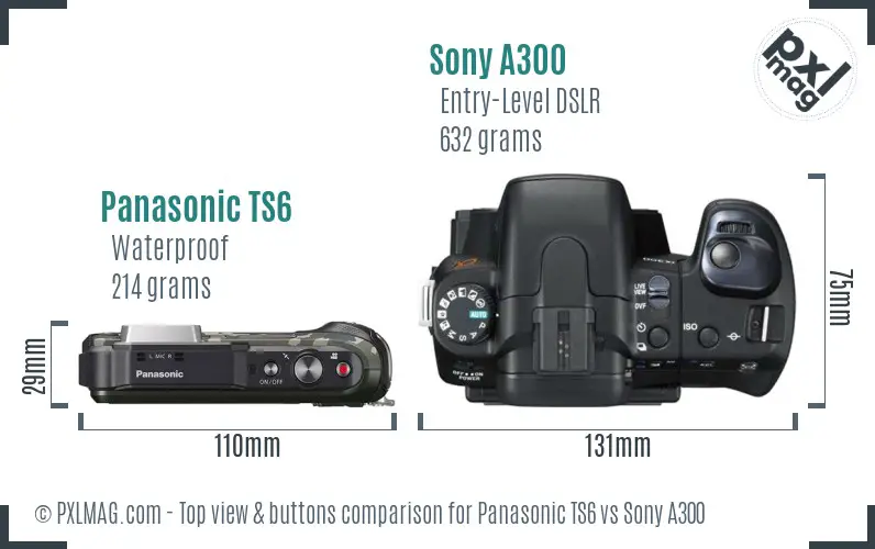 Panasonic TS6 vs Sony A300 top view buttons comparison