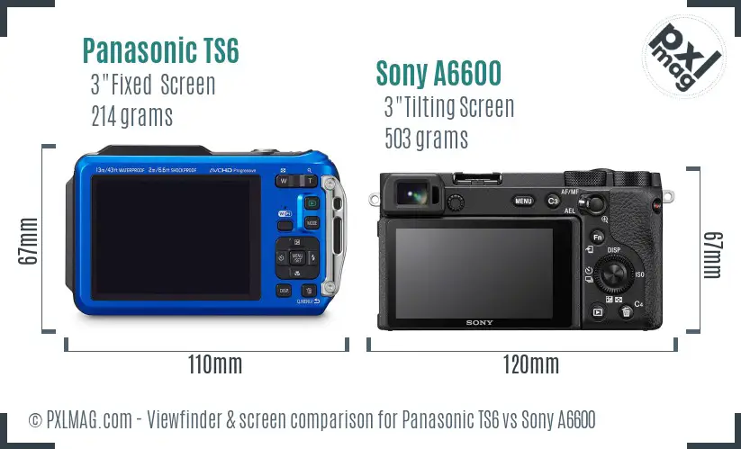Panasonic TS6 vs Sony A6600 Screen and Viewfinder comparison