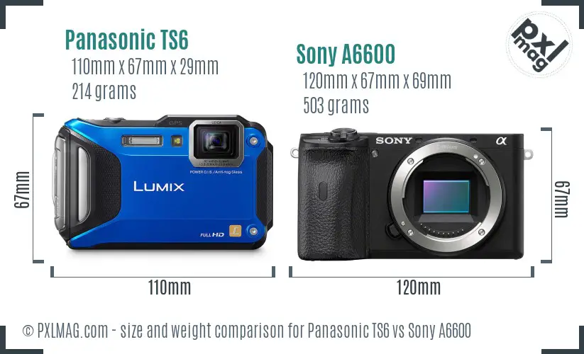 Panasonic TS6 vs Sony A6600 size comparison