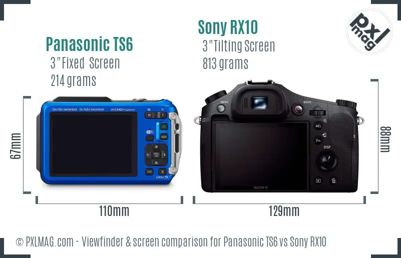 Panasonic TS6 vs Sony RX10 Screen and Viewfinder comparison