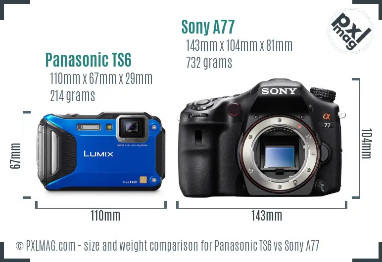 Panasonic TS6 vs Sony A77 size comparison