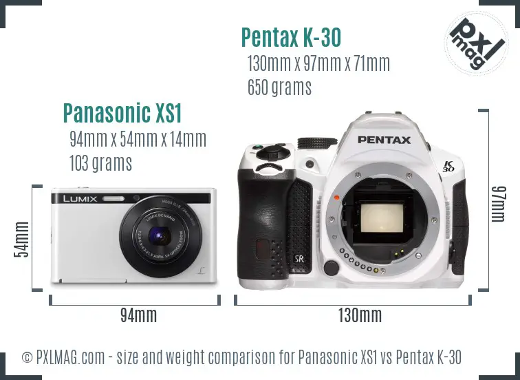 Panasonic XS1 vs Pentax K-30 size comparison