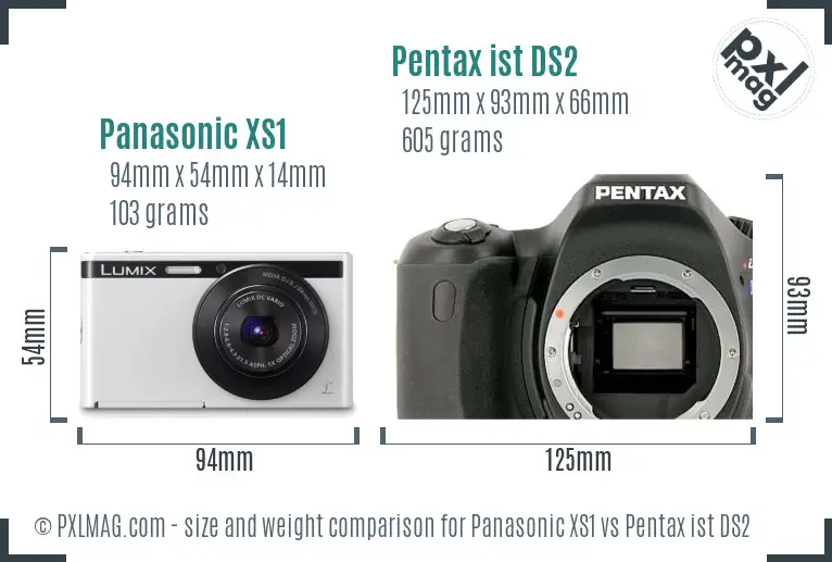 Panasonic XS1 vs Pentax ist DS2 size comparison