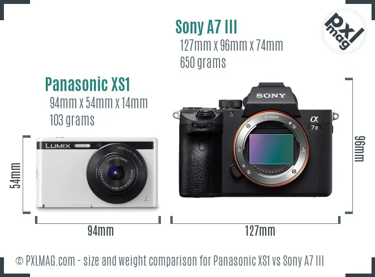 Panasonic XS1 vs Sony A7 III size comparison
